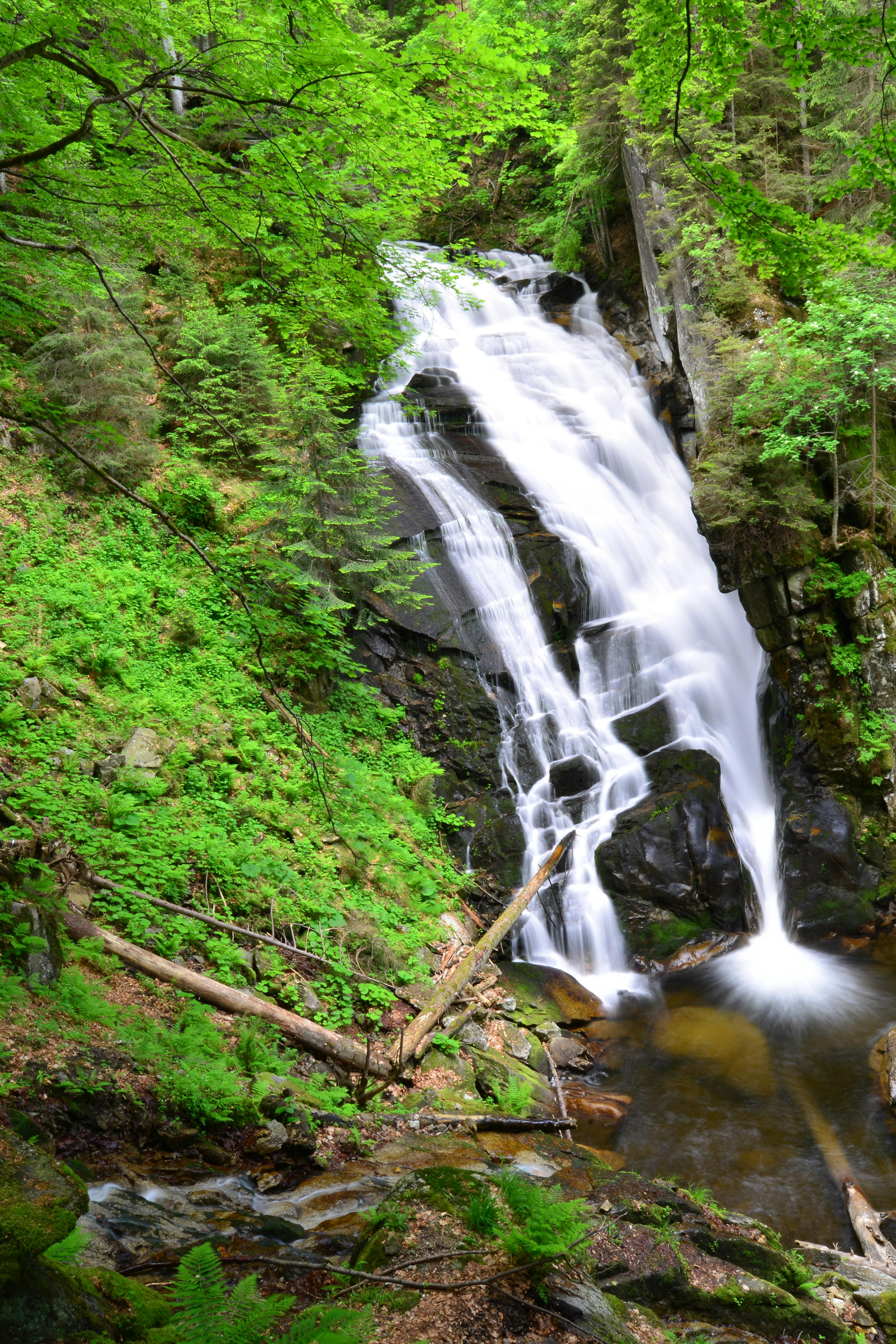 pohorje